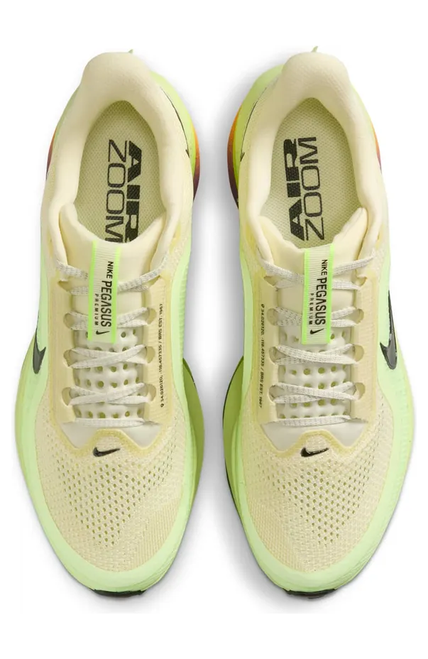 nike-air-pegasus HQ2592-701