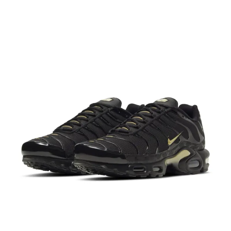 Nike Air Max Plus Black (DC4118-001)