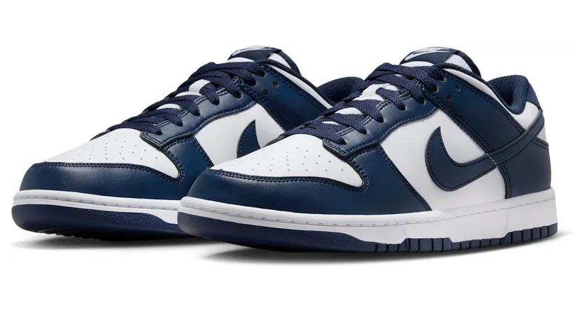 nike-dunk HF5441-107