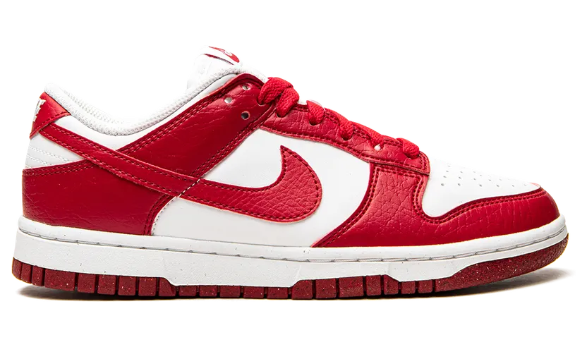 nike-dunk DN1431-101