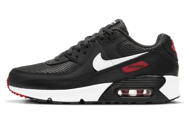 Nike Air Max 90 Grijs (DH4349-001)