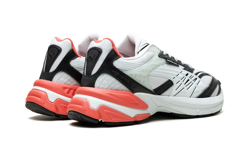 Puma Velophasis “Mercedes AMG Petronas Motorsport Dewdrop Black” (308114-01)