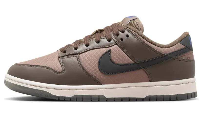 Nike Dunk Low FZ2552-001
