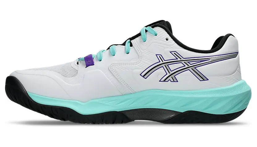 asics-sky-elite 1051A100-100
