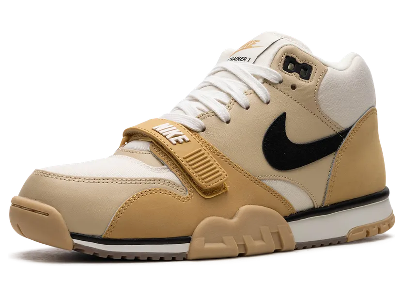 air-jordan-trainer-1 DV7201-100