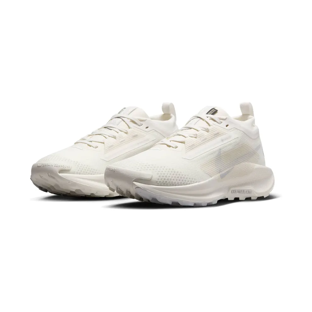 Women's Shoes Nike Pegasus 5 Gore-tex FQ0912-102