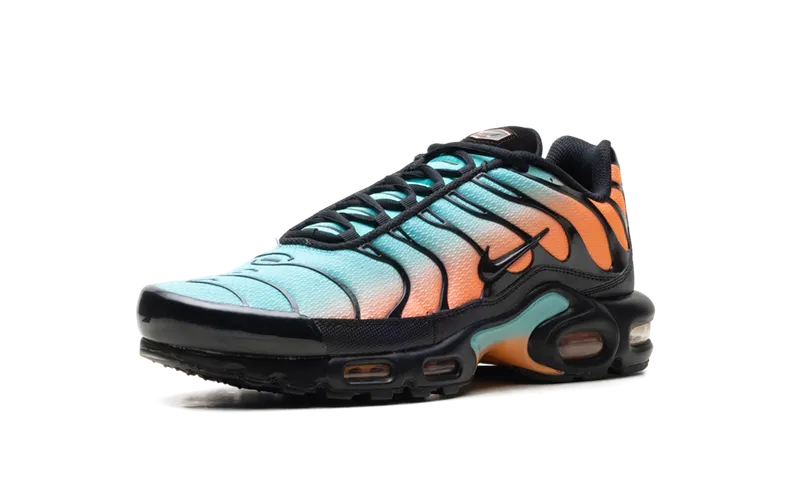 Nike Air Max Plus “South Beach” (DM0032-022)