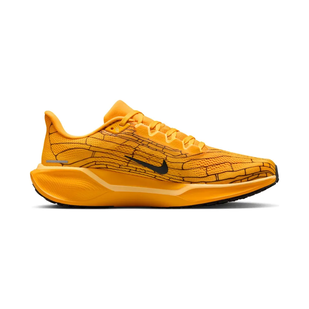 Nike Air Zoom Pegasus 41 Modern Mayfly (IH3257-700)
