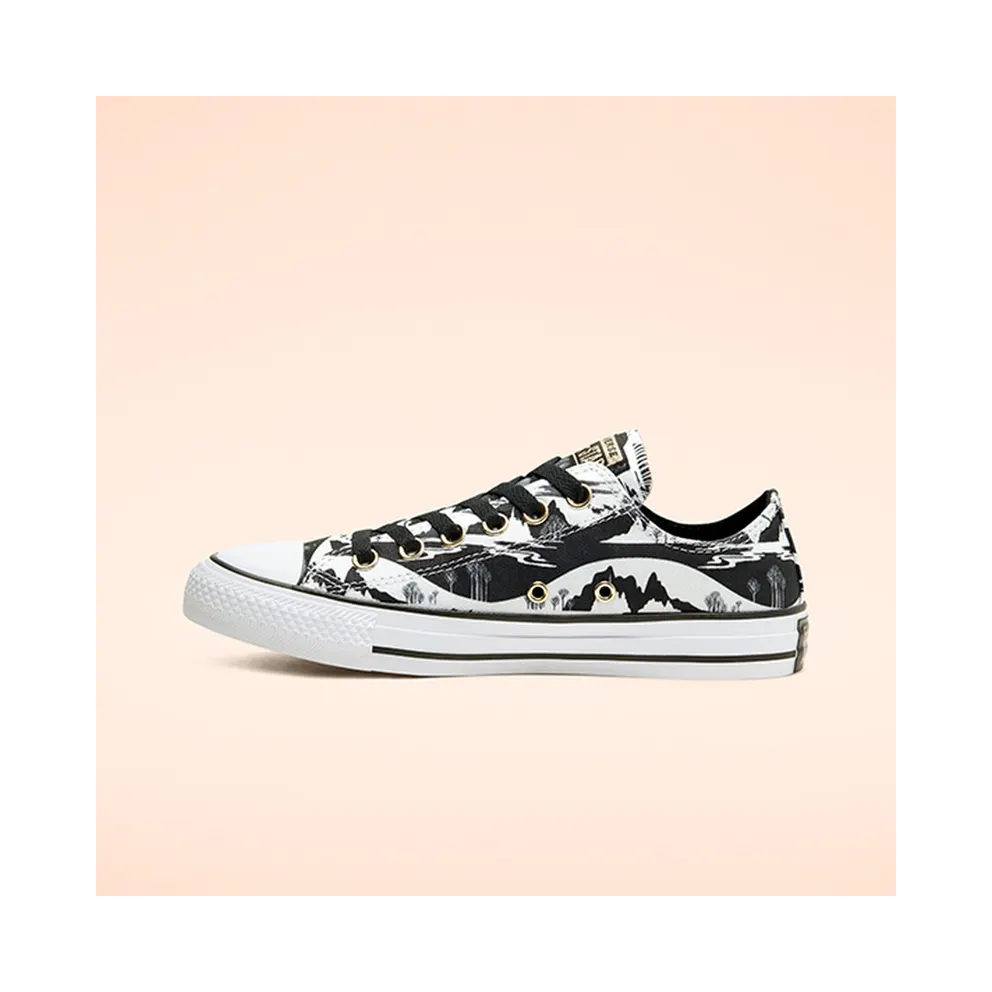 Converse Chuck Taylor All-Star Low Frozen 2 White Black White/Black-White (167360C)