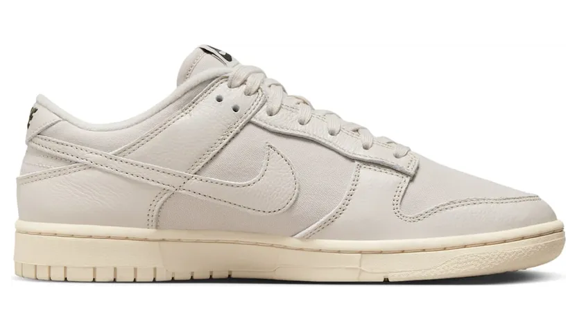 nike-dunk DZ2538-100