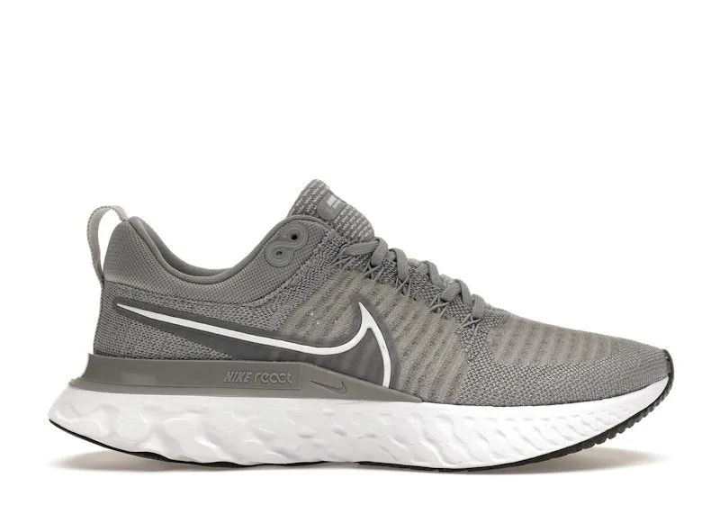 Nike React Infinity Run Flyknit 2 Particle Grey (CT2423-001)
