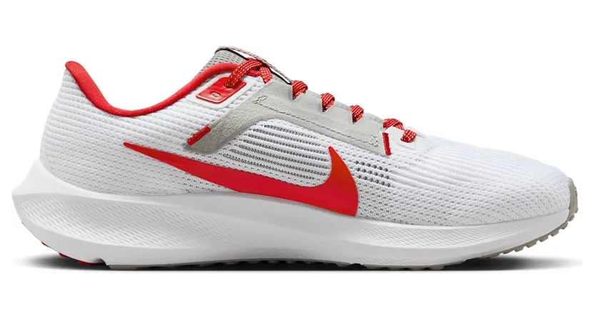 nike-air-pegasus DZ5969-100