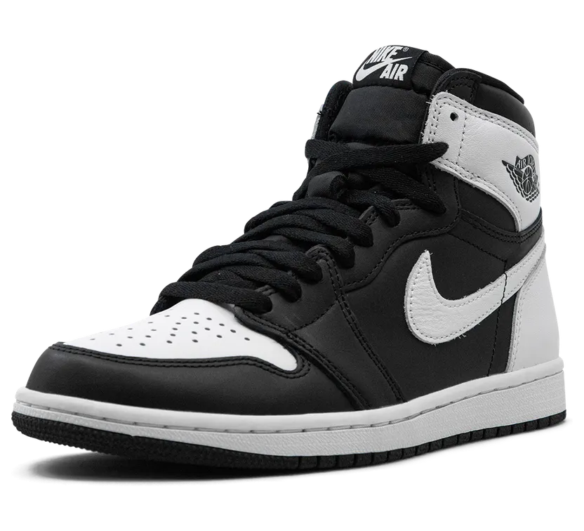 air-jordan-1 DZ5485-010