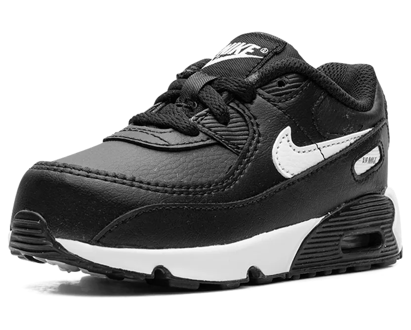 nike-air-max CD6868-010