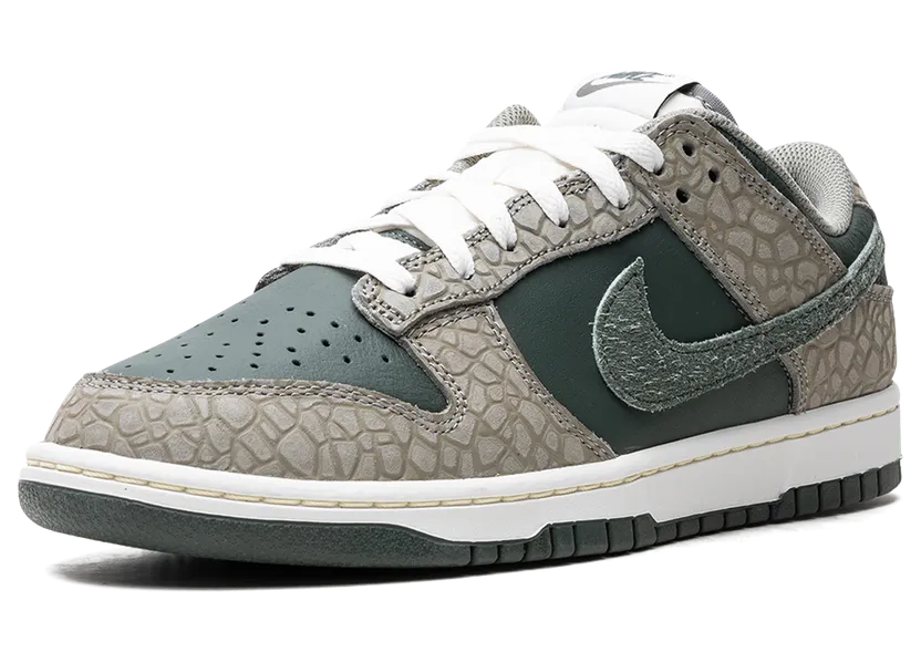 nike-dunk HF4878-053