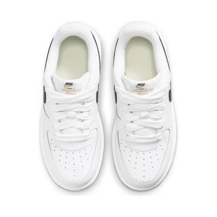 nike-air-force DX2310-100