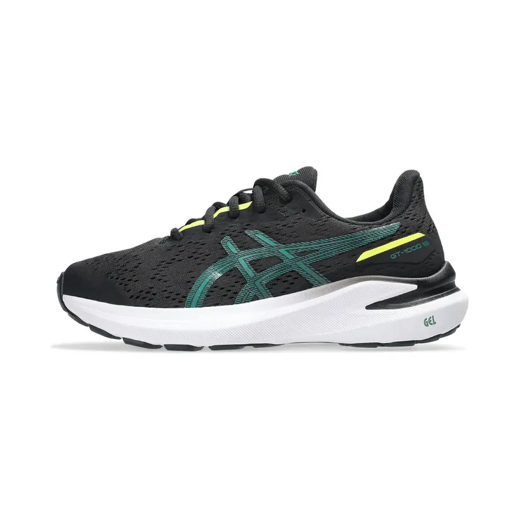 asics-gt-1000 1014A343-008