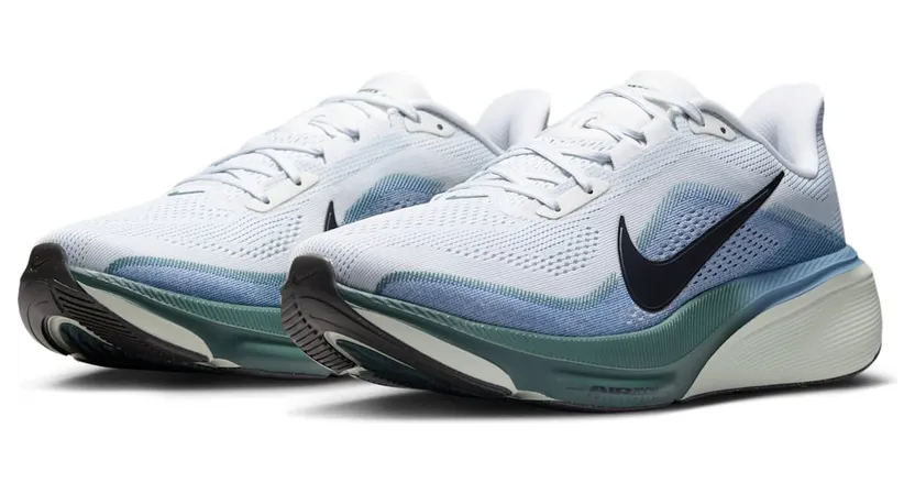 nike-air-pegasus IB1873-005
