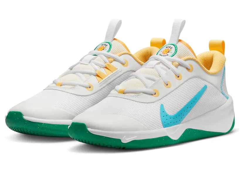nike-omni-multi-court FJ7719-141
