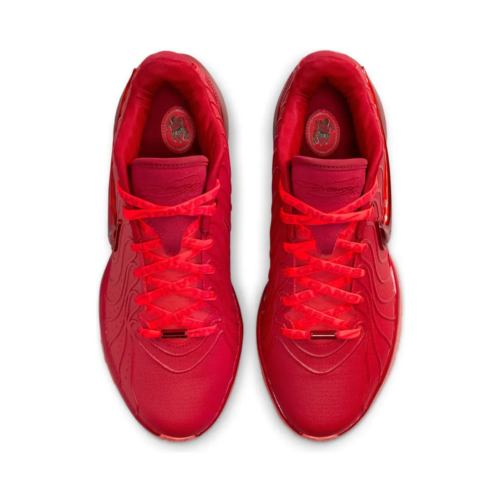 Nike LeBron 21 “James Gang” (HF5951-600)