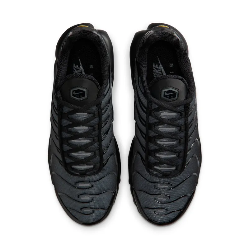 Nike TN Air Max Plus Black Metallic Silver Charm (IM6019-010)