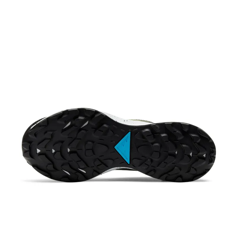 Nike Pegasus Trail 2 Trailrunningschoen for Women Black (CK4309-003)