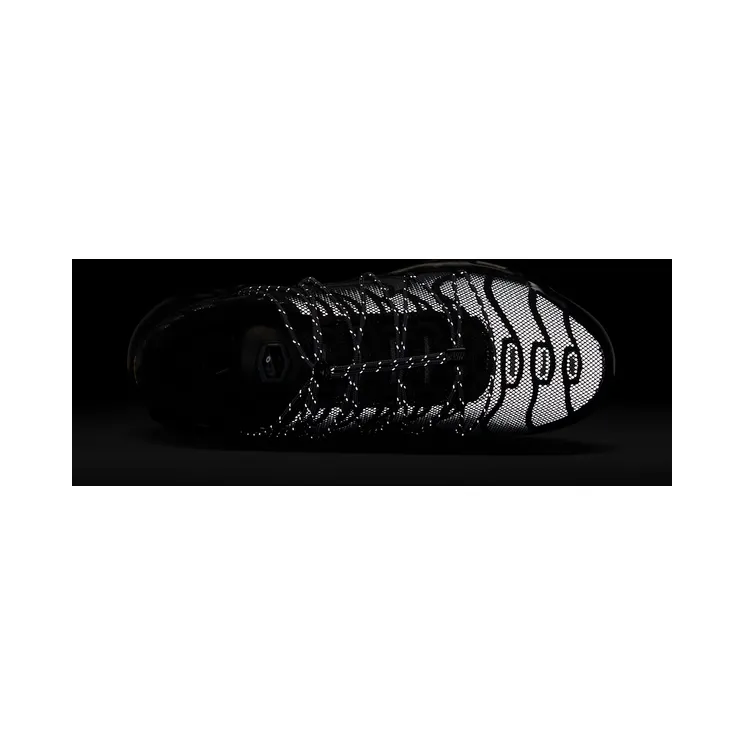 nike-air-max FZ2770-001