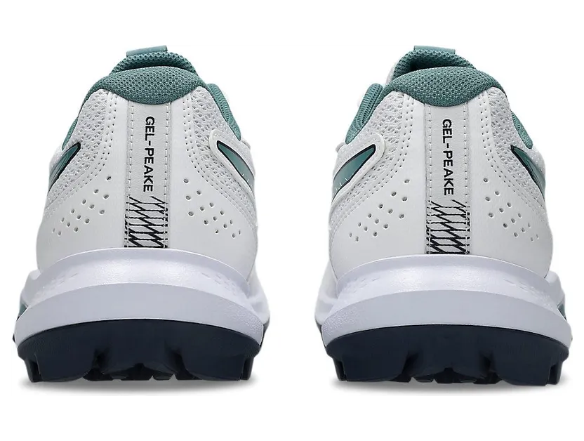 asics-gel-peake 1113A057-105