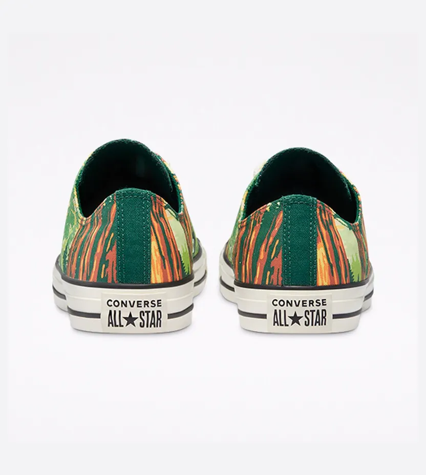 converse-chuck-taylor-all-star 170845C