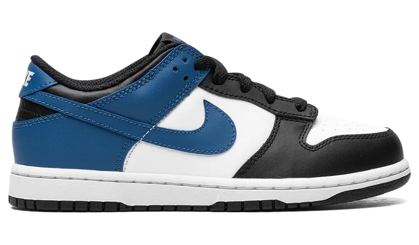 nike-dunk DH9756-104