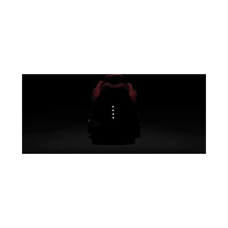 nike-air-max 343851-610