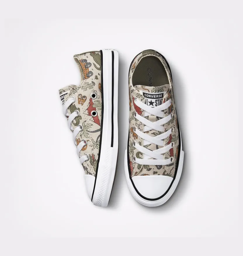 converse-chuck-taylor-all-star A02453C
