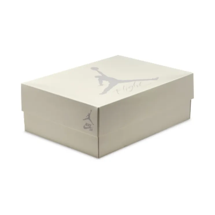 air-jordan-4 DR5415-100