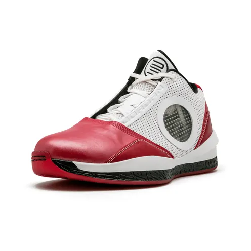 air-jordan-2010 387358-101