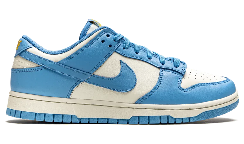nike-dunk DD1503-100