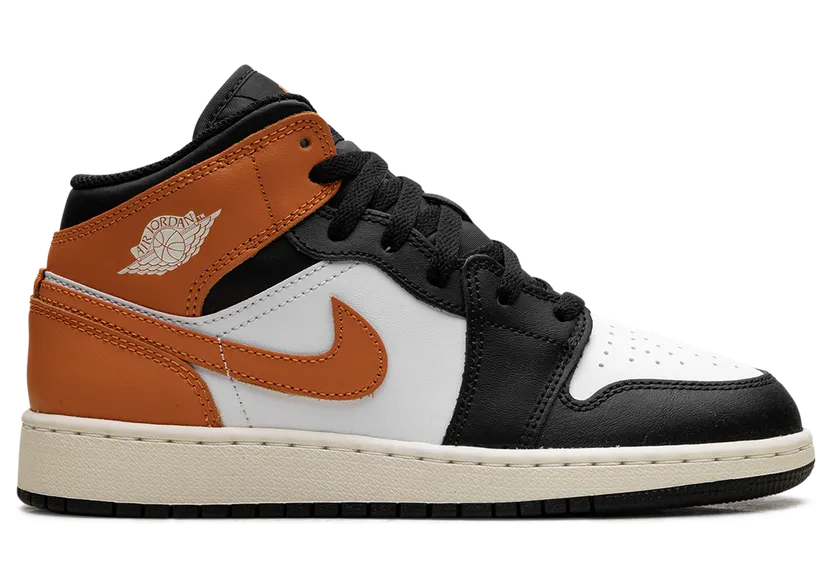 air-jordan-1 DQ8423-801