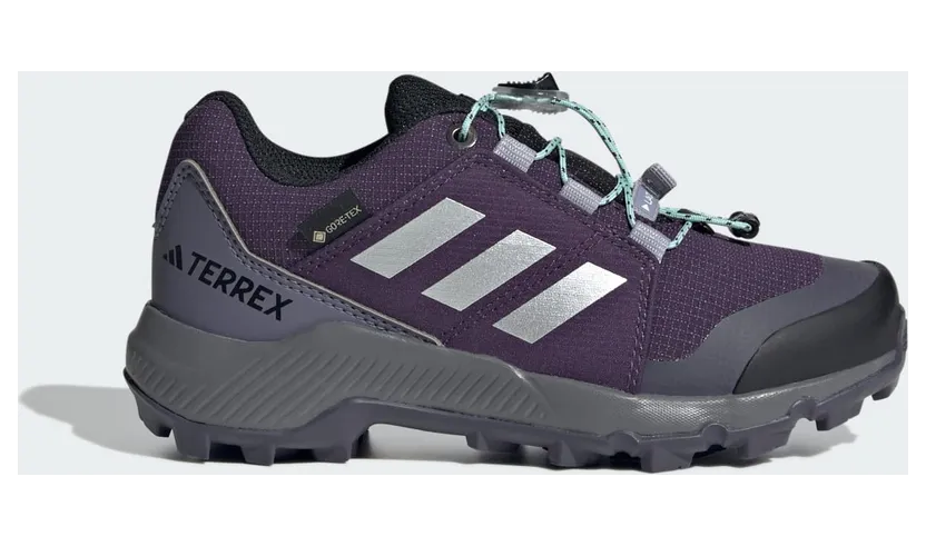 Adidas Terrex GORE-TEX Hiking Aurora Plum / Silver Metallic / Semi Flash Aqua (JS2930)