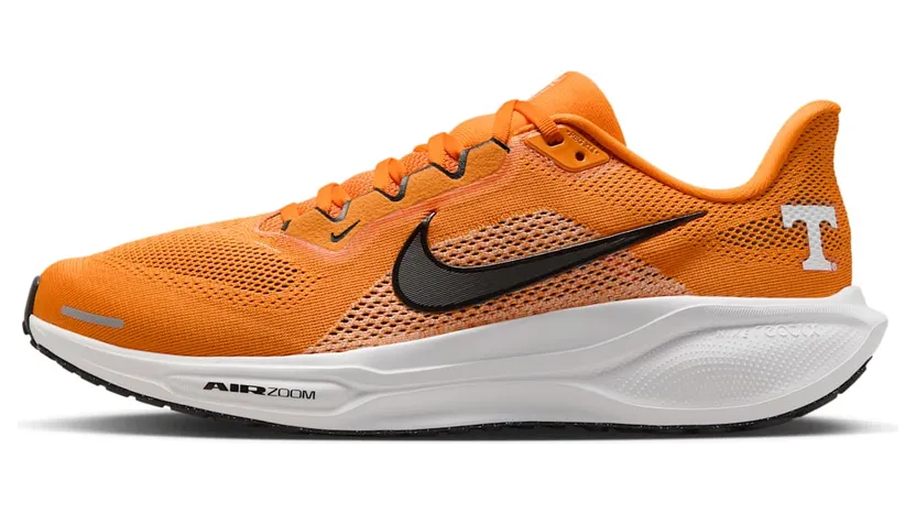 Nike Air Zoom IB3253-800