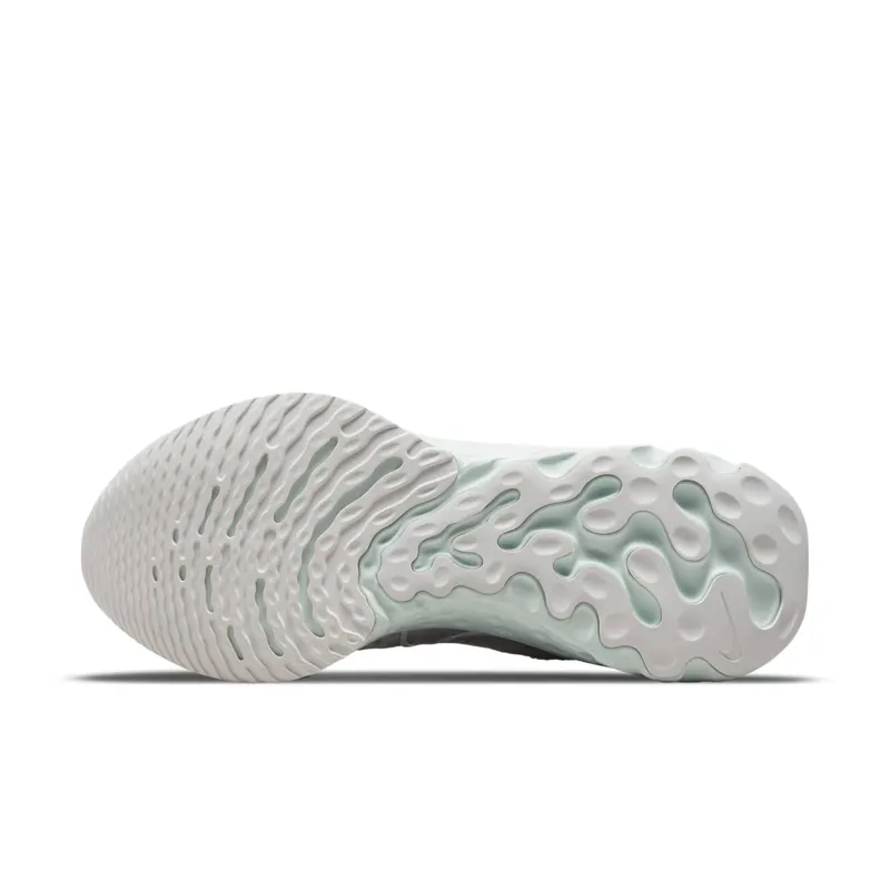 Nike React Infinity Run Flyknit 2 for Women Grey (CT2423-007)