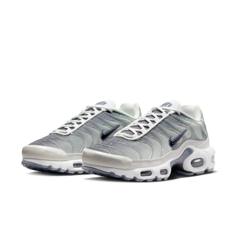 Nike Air Max Plus Smoke Grey Ashen Slate (FQ2892-100)