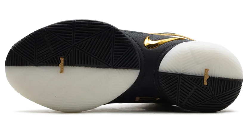 nike-lebron HV8454-100