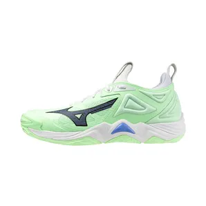 Mizuno Wave Momentum 3 Neo Mint Black Frontier Blue (V1GA231287)