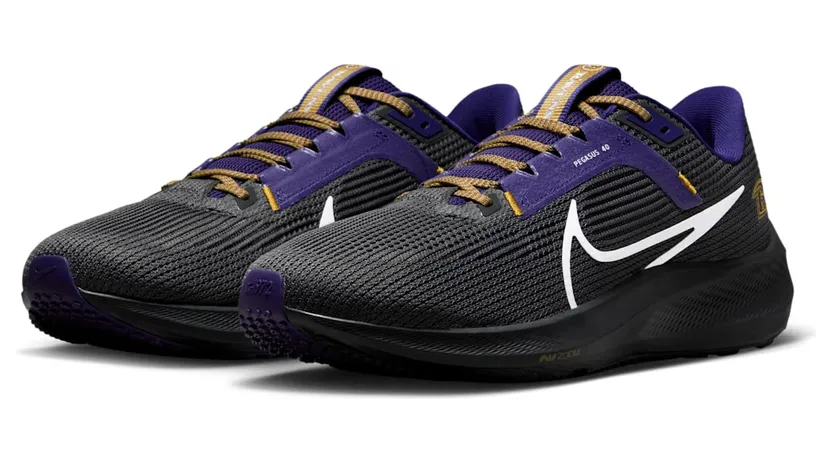 nike-air-pegasus DZ5946-001