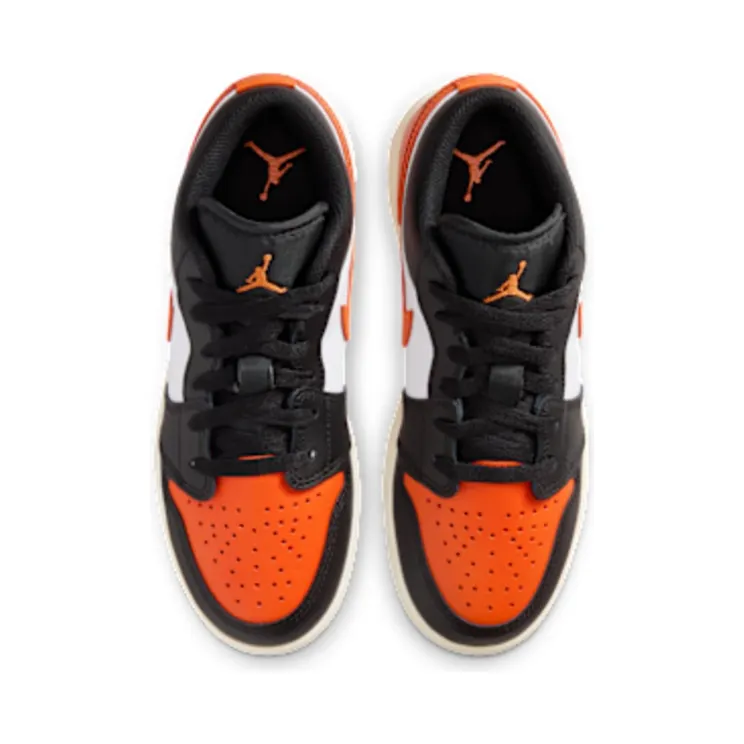 air-jordan-1 553560-081