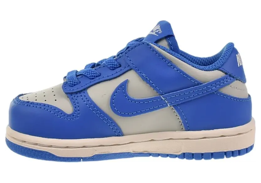 Nike Dunk Low TD “Light Silver/LT Photo Blue” (FB9107-004)