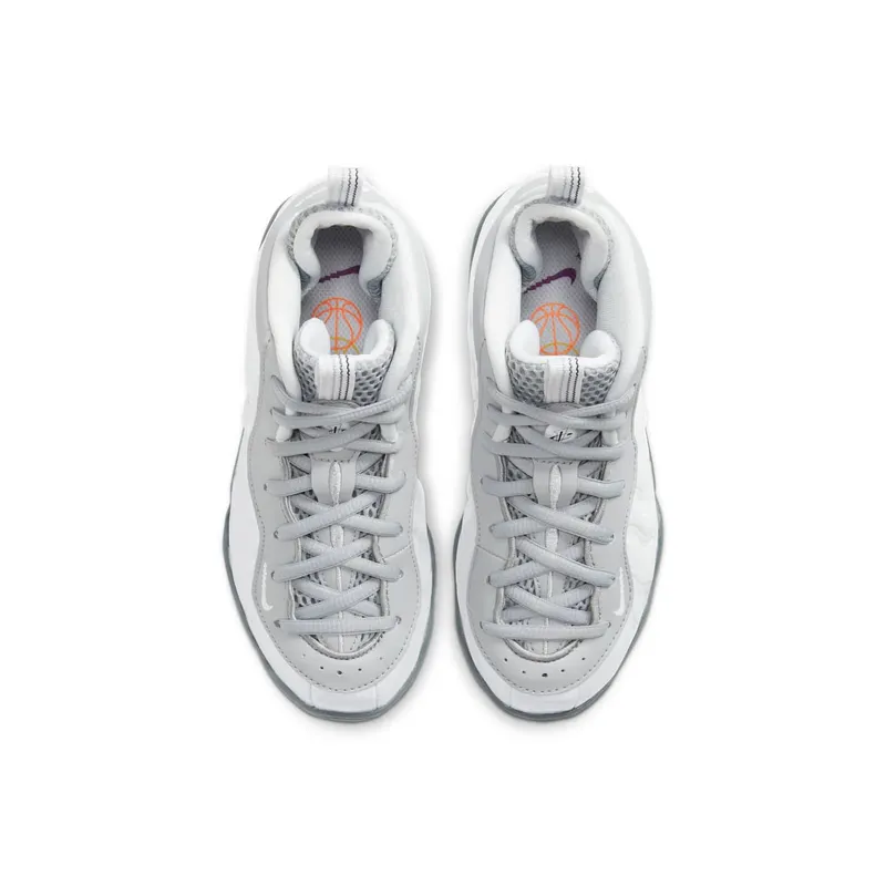 Nike Air Foamposite One Light Smoke Grey (PS) Light Smoke Grey/White-Blue Fury (CU1055-001)