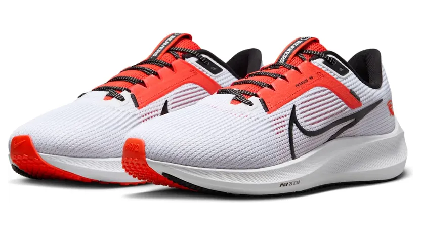 nike-air-pegasus DZ5954-100