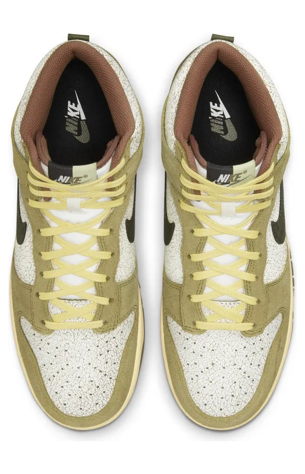 nike-dunk DO6713-300