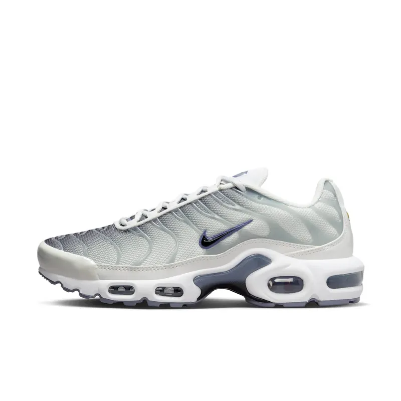 Nike Air Max Plus Smoke Grey Ashen Slate (FQ2892-100)