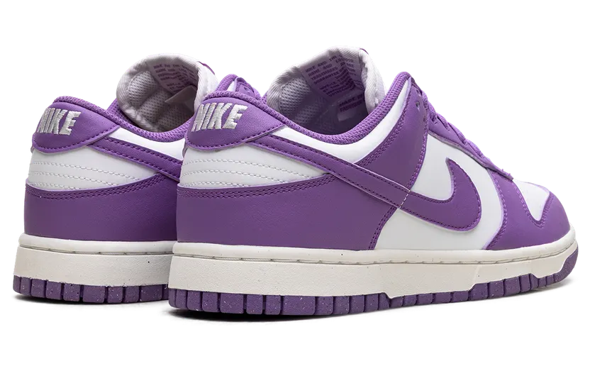 nike-dunk DD1873-108